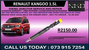 Renault Kangoo 1.5L Diesel Injectors 