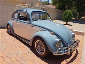 1958 VW Beetle 