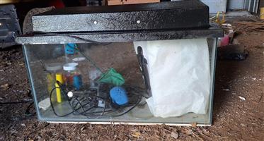 Aquarium, 1 year in use