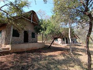 Game farm with a lot of potential