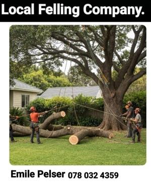 Tree Services