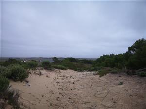 ELEVATED STAND WITH BEAUTIFUL VIEWS OF THE MOUNTAINS AND THE SURROUNDING AREA