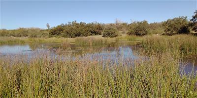 Beatiful land for rent 