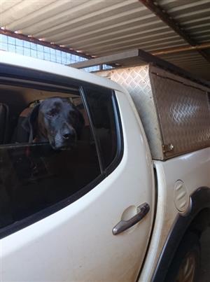 Aluminium canopy with roof rack for double cab Mitsubishi Triton