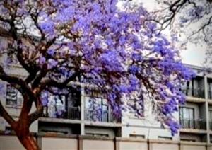 Apartment – Like New!