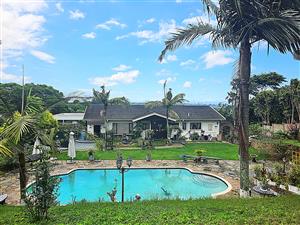 Gorgeous Family Home in Westville, Berea West!