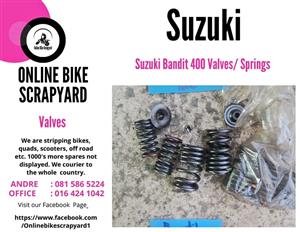 Suzuki Bandit 400 valve springs