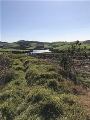 Small Holdings With Doomsday Bunkers.