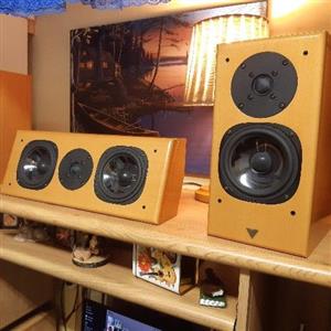 Vienna Acoustic High end speakers