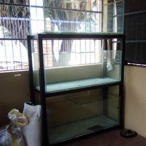 3x 1,2m x 45cm fish tanks with a stand