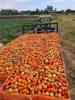 A real winner in every way - Farm for Sale Walmansthal Pretoria