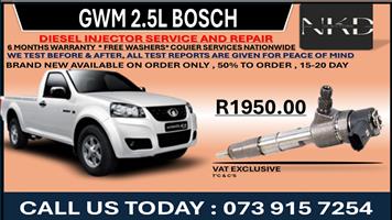 Diesel Injectors GWM 2.5L 