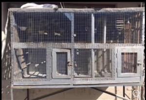 For sale: large bird cage