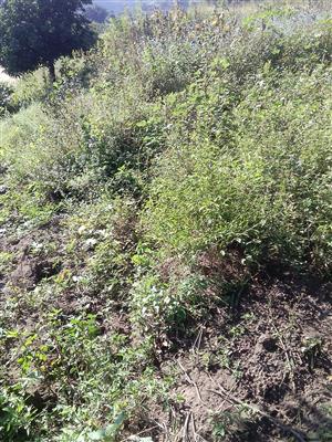 Vacant Land For Sale