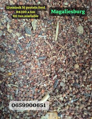 Livestock hi protein feed
