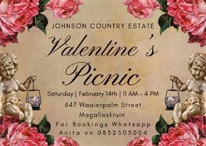 Valentines Day Picnic Celebration