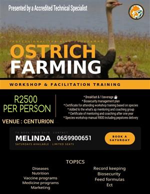 OSTRICH FARMING Workshop facilitation training