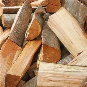 firewood bluegum for sale 