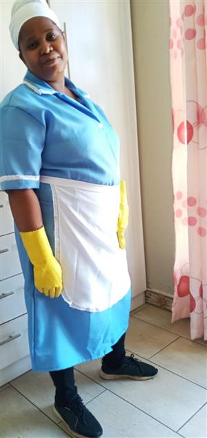 Hardworking and experienced Lesotho domestic all rounder needs stay in or out