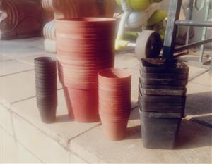 Garden plant Pots