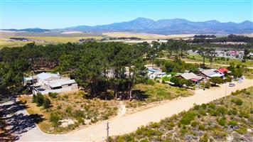 Sunny corner lot in the quiet avenues