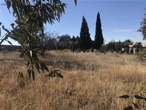 Investors & Business Seekers — Don’t Miss This Opportunity!