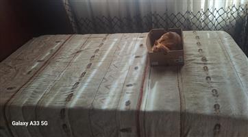 Single Bed