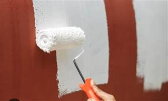Painting services 4 Houses