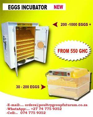 Automatic Egg Incubators 48-10,000 Eggs Available On Sale!