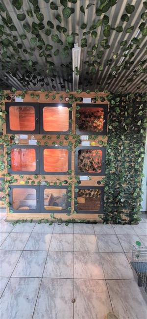 Reptile cages 