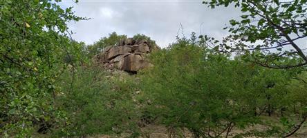 Vacant Land Residential For Sale in Musina