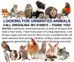 Looking for unwanted small animals or birds
