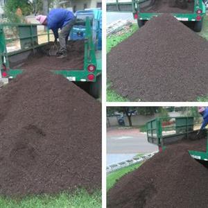 potting soil for herbs and vegetables planting