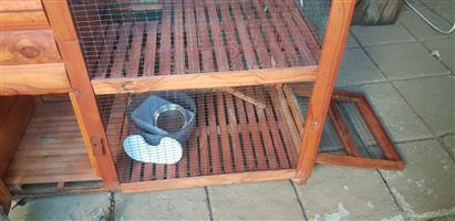 hedge hog/ hamster cage