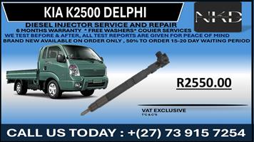 Kia K2500 Delphi Diesel Injectors 