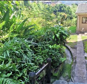 Spacious Bedroom, free standing home to let Reservior hills 