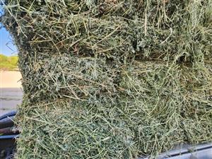 Lucerne Hay for Horses, Cattle & Sheep