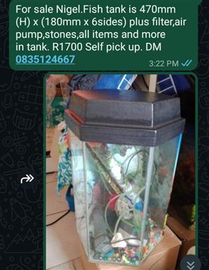 Fish tank with lots of extras in. 6 sides