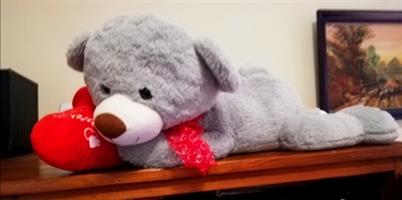 Large grey teddy with red heart.