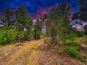 Farm For Sale in Langvlei Dunes