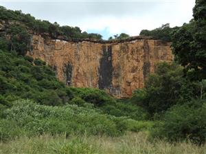 Ideal Citrus/Macadamia Farm for Sale