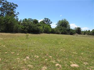 Vacant Stand For sale in Bathurst