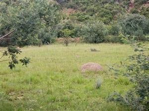 Vacant Land Residential For Sale in Ladybrand