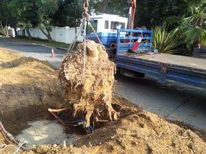 Truck and crane hire