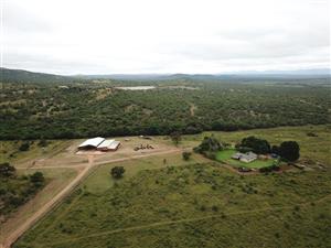 Farm For Sale in Polokwane Rural