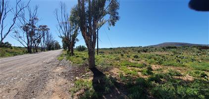 Large 1100 sqm stand with breath taking views in Willowmore