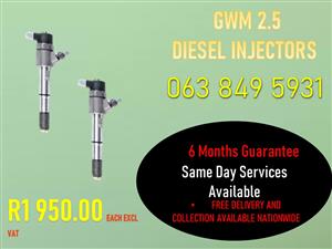 GWM 2.5 DIESEL INJECTORS MMBATHO NORTH WEST 
