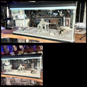 4 ft fish tank 