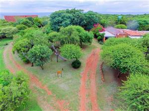 Garden Cottage Rental Monthly in Roodeplaat