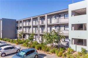 Apartment Rental Monthly in Bellville